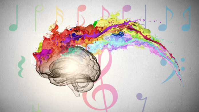 brain routes sensory information through multiple unrelated senses