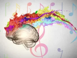 brain routes sensory information through multiple unrelated senses