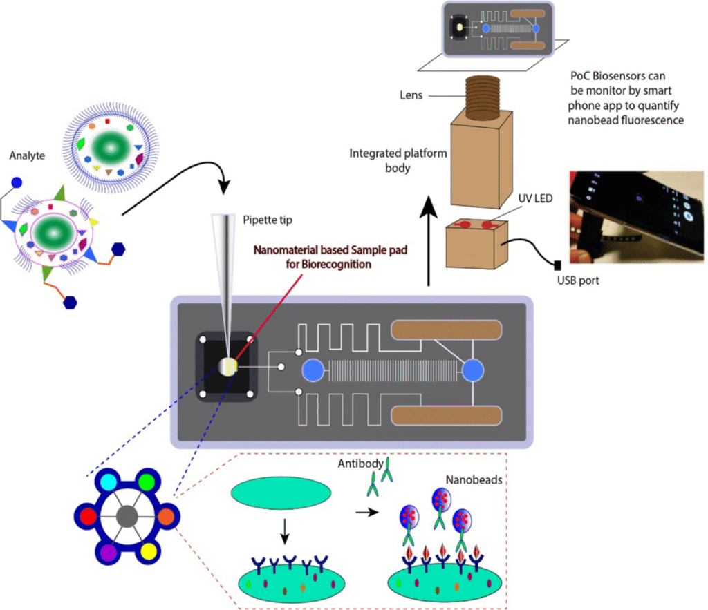 Collage showing a biocomputing chip, bacteria detecting cancer cells, and biosensors monitoring pollution.