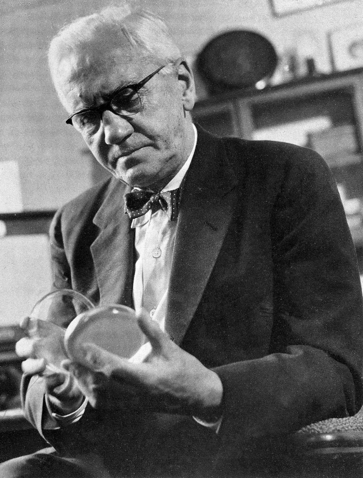 Alexander Fleming examining a contaminated petri dish in 1928
